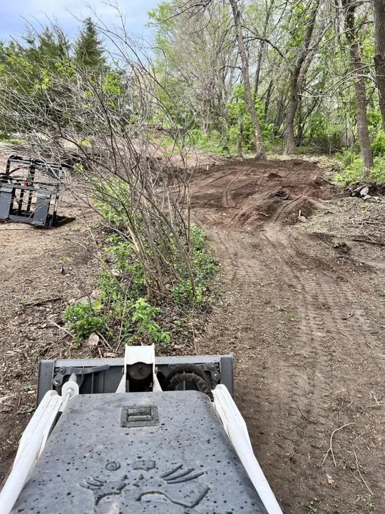 Wooded Lot Grading